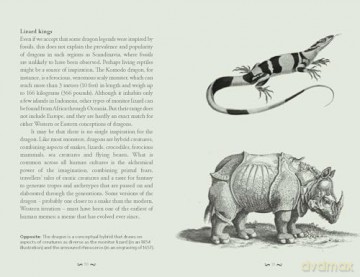 The Pocket Book of Dragons: Myth, Magic and Meaning - Joel Levy [KSIĄŻKA]