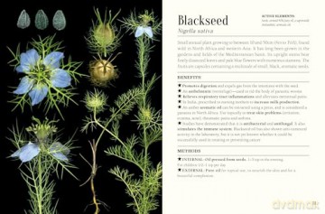 The Pocket Book of Plants that Heal: The illustrated herbarium of medicinal plants - François Couplan [KSIĄŻKA]