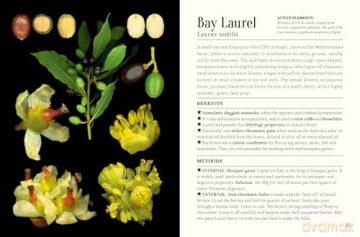 The Pocket Book of Plants that Heal: The illustrated herbarium of medicinal plants - François Couplan [KSIĄŻKA]