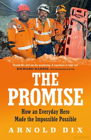 The Promise: How an everyday hero made the impossible possible - Arnold Dix [KSIĄŻKA]