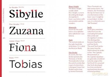 The quick classification guide for typography: A handbook for designers - Eva Kubinyi [KSIĄŻKA]