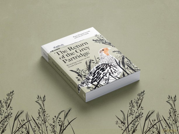 The Return of the Grey Partridge: Restoring Nature on the South Downs - Roger Morgan-Grenville [KSIĄŻKA]
