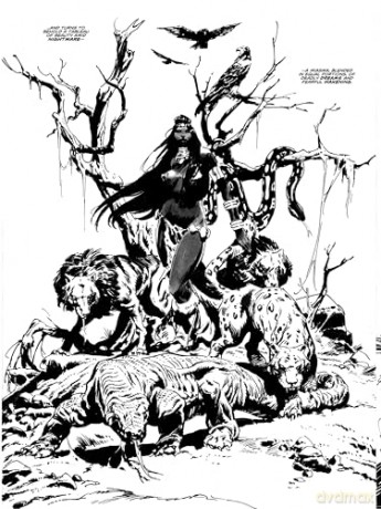 The Savage Sword Of Conan - Roy Thomas [KSIĄŻKA]