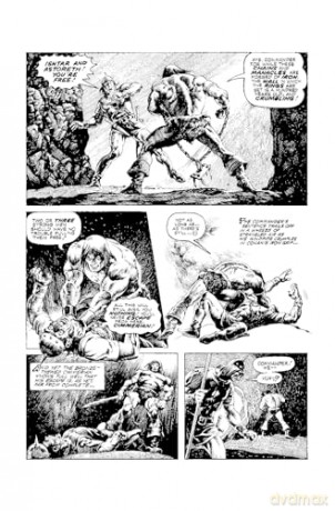 The Savage Sword Of Conan: The Original Comics Omnibus Vol.6 - Roy Thomas [KSIĄŻKA]