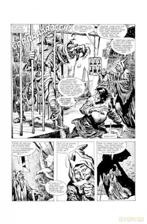 The Savage Sword Of Conan: The Original Comics Omnibus Vol.6 - Roy Thomas [KSIĄŻKA]