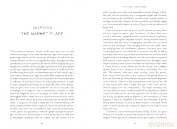 The Scarlet Letter - Nathaniel Hawthorne [KSIĄŻKA]