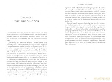 The Scarlet Letter - Nathaniel Hawthorne [KSIĄŻKA]