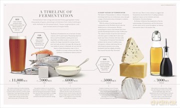 The Science of Fermentation - DK [KSIĄŻKA]