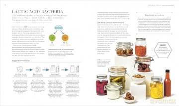 The Science of Fermentation - DK [KSIĄŻKA]
