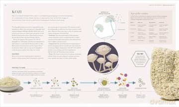 The Science of Fermentation - DK [KSIĄŻKA]