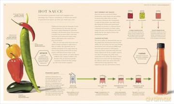 The Science of Fermentation - DK [KSIĄŻKA]