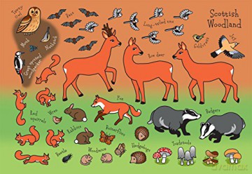 The Scotland Sticker Book: Gorgeous fold-out scenes for farm, loch, woods and Highlands. - David Felton [KSIĄŻKA]