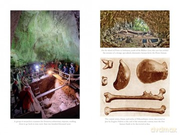The Secret World of Denisovans: The Epic Story of the Ancient Cousins to Sapiens and Neanderthals - Silvana Condemi [KSIĄŻKA]
