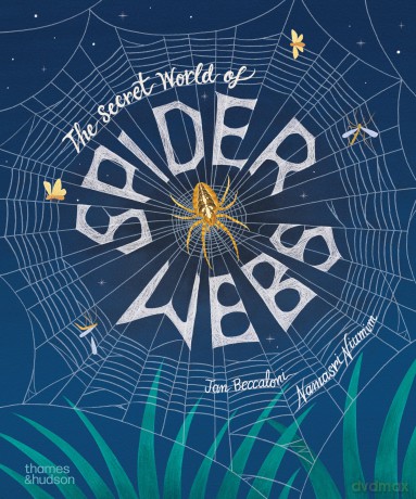 The Secret World of Spider Webs: 1 - Jan Beccaloni [KSIĄŻKA]