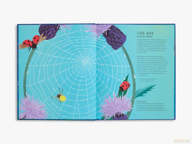 The Secret World of Spider Webs: 1 - Jan Beccaloni [KSIĄŻKA]