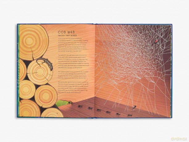 The Secret World of Spider Webs: 1 - Jan Beccaloni [KSIĄŻKA]