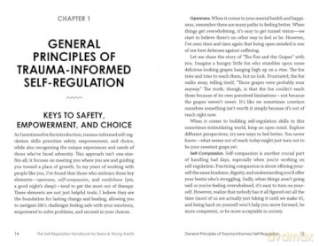 The Self Regulation Handbook for Teens and Young Adults: A Trauma-Informed Guide to Fostering Personal Resilience and Enhancing Interpersonal Skills - Kathy P. Wu [KSIĄŻKA]