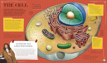 The Spectacular Science of the Human Body: From head to toe and everything inside - Rob Colson [KSIĄŻKA]