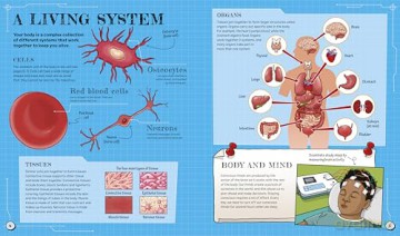 The Spectacular Science of the Human Body: From head to toe and everything inside - Rob Colson [KSIĄŻKA]