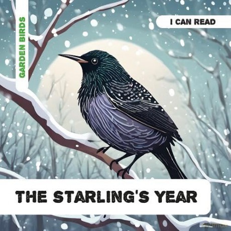 The Starling's Year: Decodable Phonics Reader - Caroline Petherbridge [KSIĄŻKA]
