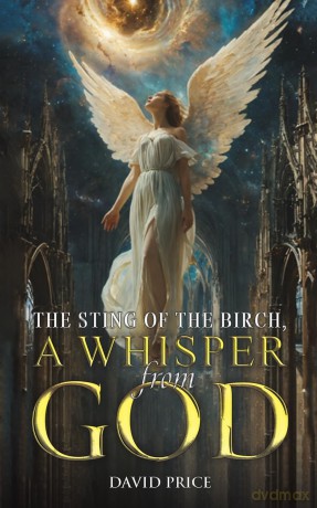 The Sting of the Birch, a Whisper from God - David Price [KSIĄŻKA]