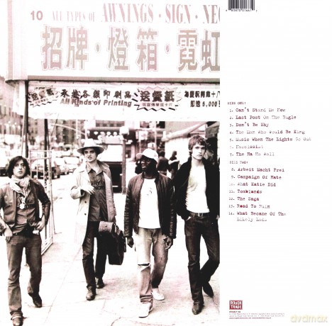 The Libertines: The Libertines [Winyl]