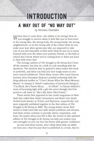 The Struggle to Be Strong: True Stories by Teens About Overcoming Tough Times: True Stories by Teens About Overcoming Tough Times Updated Edition - Al Desetta [KSIĄŻKA]