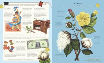 The Stuff That Stuff is Made of: The Things We Make With Plants - Jonathan Drori [KSIĄŻKA]