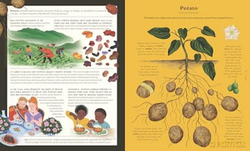 The Stuff That Stuff is Made of: The Things We Make With Plants - Jonathan Drori [KSIĄŻKA]