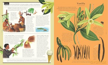 The Stuff That Stuff is Made of: The Things We Make With Plants - Jonathan Drori [KSIĄŻKA]