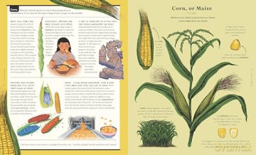 The Stuff That Stuff is Made of: The Things We Make With Plants - Jonathan Drori [KSIĄŻKA]