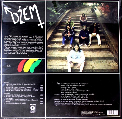 Dżem: Cegła [WINYL]