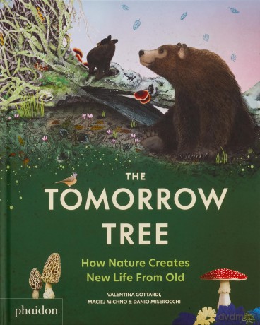 The Tomorrow Tree: How Nature Creates New Life From Old - Maciej Michno [KSIĄŻKA]