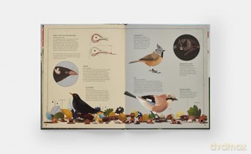 The Tomorrow Tree: How Nature Creates New Life From Old - Maciej Michno [KSIĄŻKA]