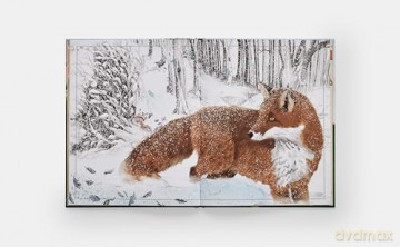 The Tomorrow Tree: How Nature Creates New Life From Old - Maciej Michno [KSIĄŻKA]