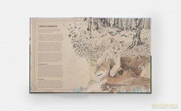 The Tomorrow Tree: How Nature Creates New Life From Old - Maciej Michno [KSIĄŻKA]