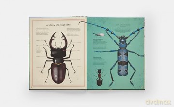 The Tomorrow Tree: How Nature Creates New Life From Old - Maciej Michno [KSIĄŻKA]
