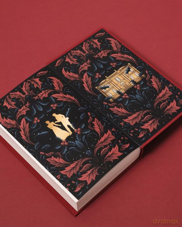 The Twelve Days of Christmas: The perfect historical Christmas short story collection from the #1 Sunday Times Bestseller - Susan Stokes-Chapman [KSIĄŻKA]