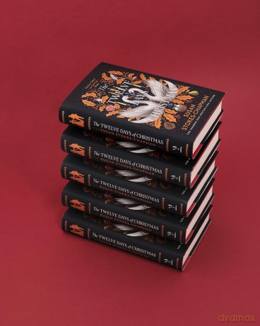 The Twelve Days of Christmas: The perfect historical Christmas short story collection from the #1 Sunday Times Bestseller - Susan Stokes-Chapman [KSIĄŻKA]