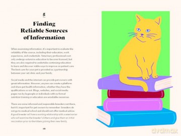 The Ultimate Guidebook for Cat Owners - Dr. Marlena Lopez BSc DVM [KSIĄŻKA]