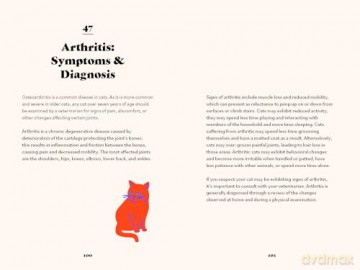 The Ultimate Guidebook for Cat Owners - Dr. Marlena Lopez BSc DVM [KSIĄŻKA]