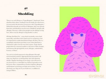 The Ultimate Guidebook for Dog Owners - Dr. Marlena Lopez BSc DVM [KSIĄŻKA]