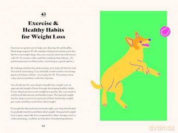 The Ultimate Guidebook for Dog Owners - Dr. Marlena Lopez BSc DVM [KSIĄŻKA]