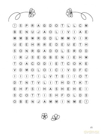 The Unofficial Super Swiftie Word Search Book [KSIĄŻKA]
