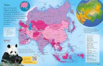 The Usborne Children's Encyclopedia - Felicity Brooks [KSIĄŻKA]