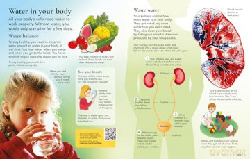 The Usborne Children's Encyclopedia - Felicity Brooks [KSIĄŻKA]