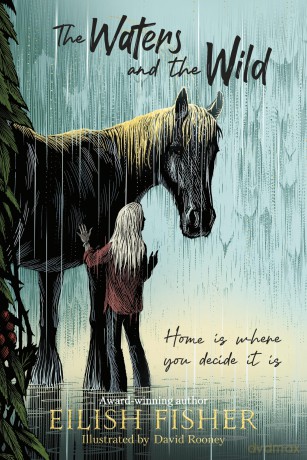 The Waters and the Wild: A beautiful novel in verse about grief, family and the power of hope - Eilish Fisher [KSIĄŻKA]