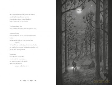 The Waters and the Wild: A beautiful novel in verse about grief, family and the power of hope - Eilish Fisher [KSIĄŻKA]