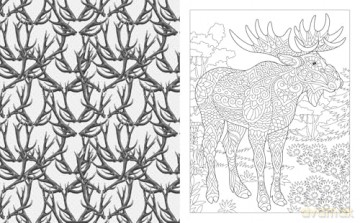 The Wild Animals Colouring Book: Over 45 Images to Colour - Tansy Willow [KSIĄŻKA]