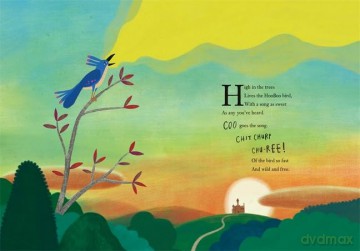 The Wild HooBoo: A Story About Freedom - Barry Falls [KSIĄŻKA]